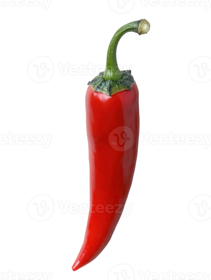 Spicy Red Chili Pepper Isolated Hot Food Ingredient Cooking png