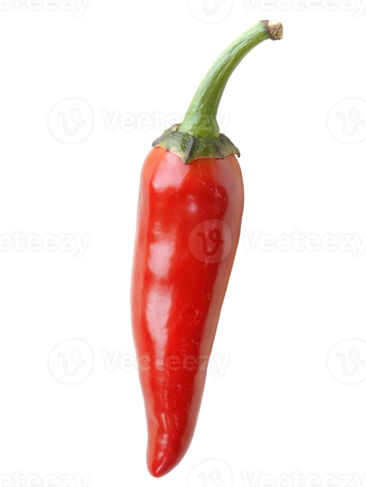 Spicy red chili pepper isolated transparent background hot food ingredient png