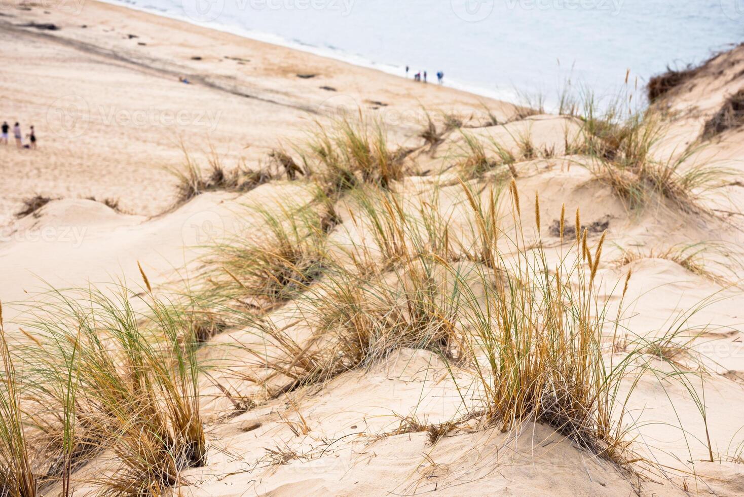 View of The Arcachon Bay and The Duna of Pyla, France photo