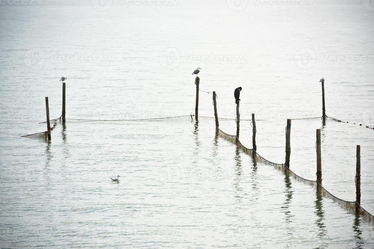 Northern Sea landscape photo