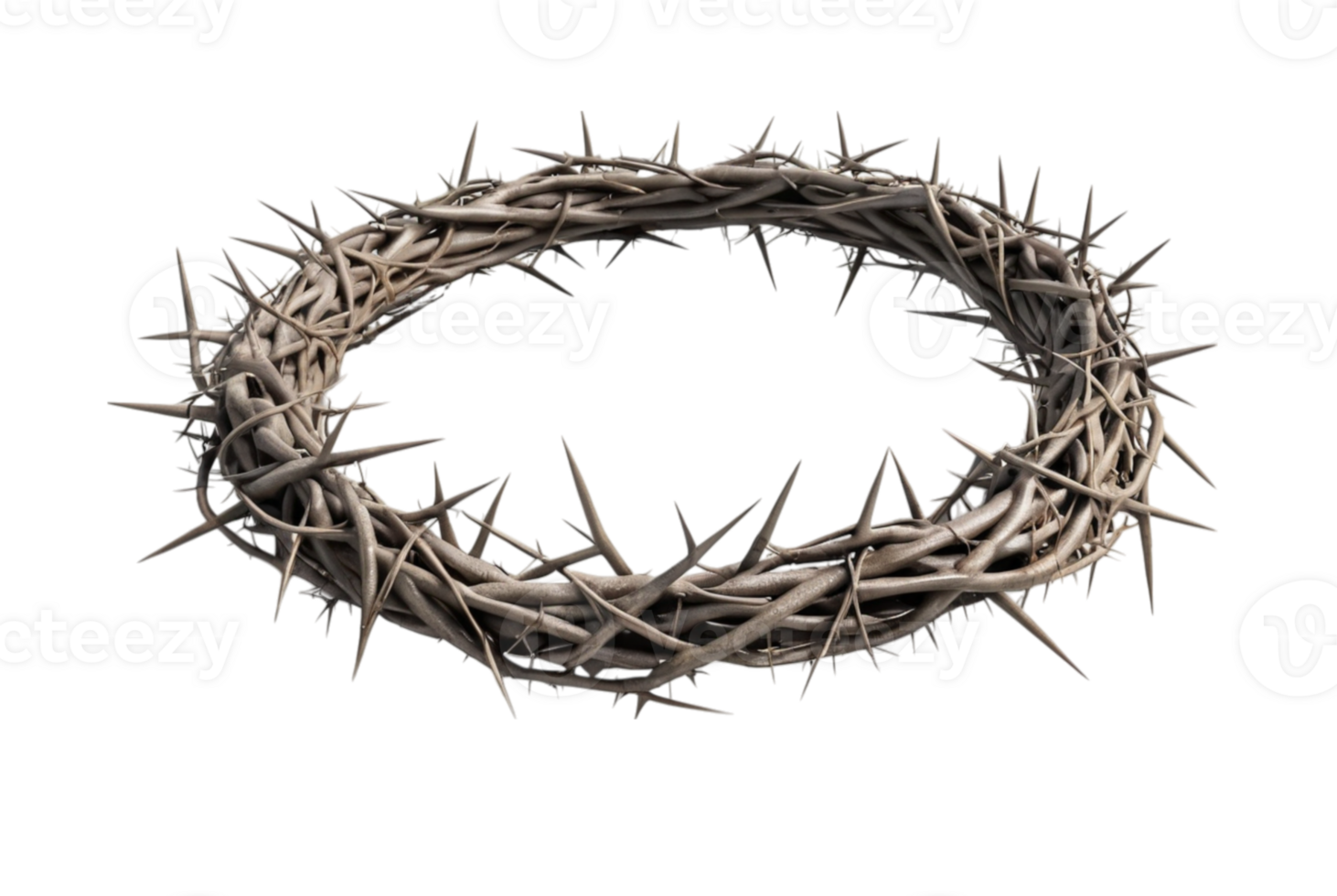 3D crown of thorns intricate thorny details png