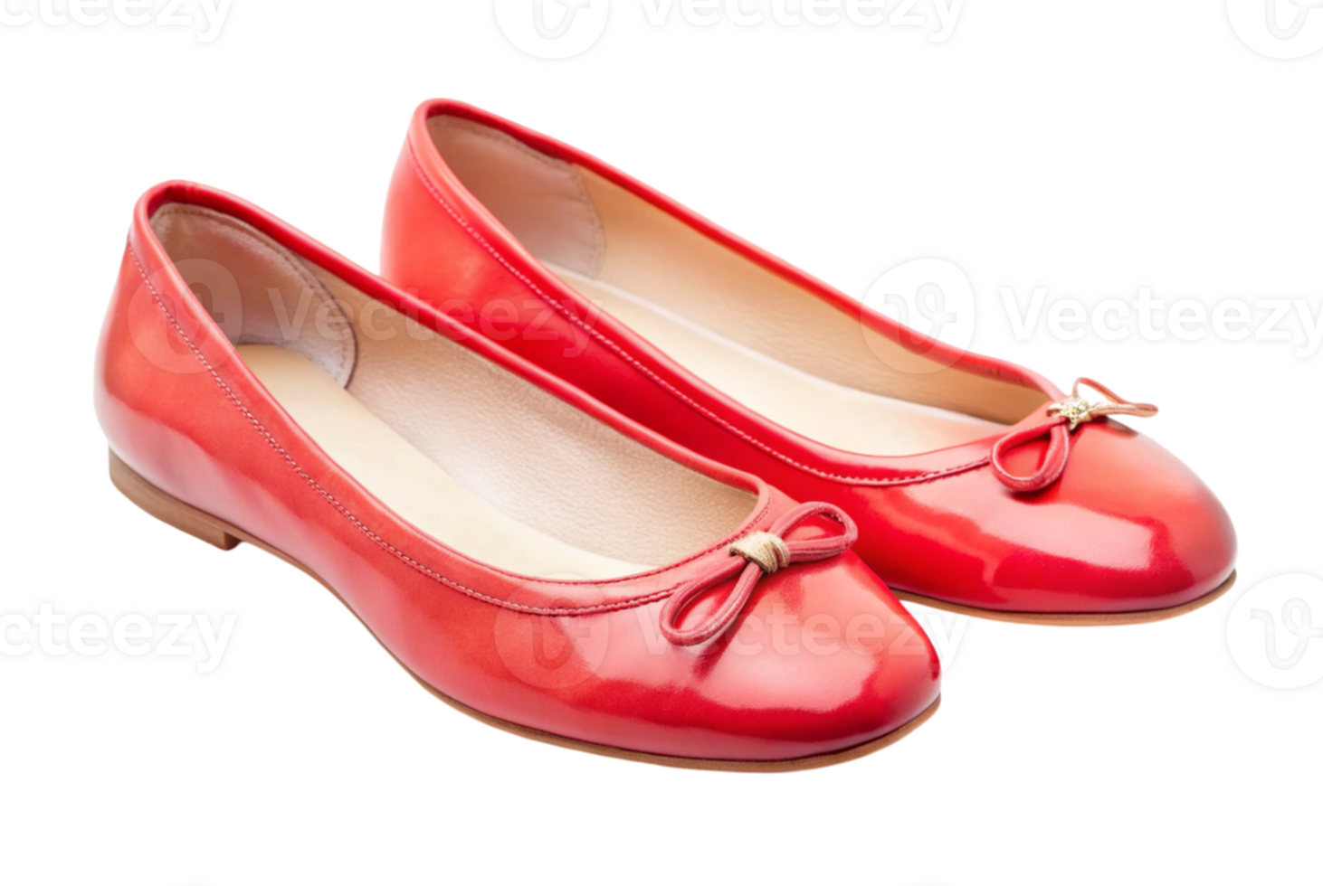 Ballet Flats Elevate Your Wardrobe with Effortless Elegance png