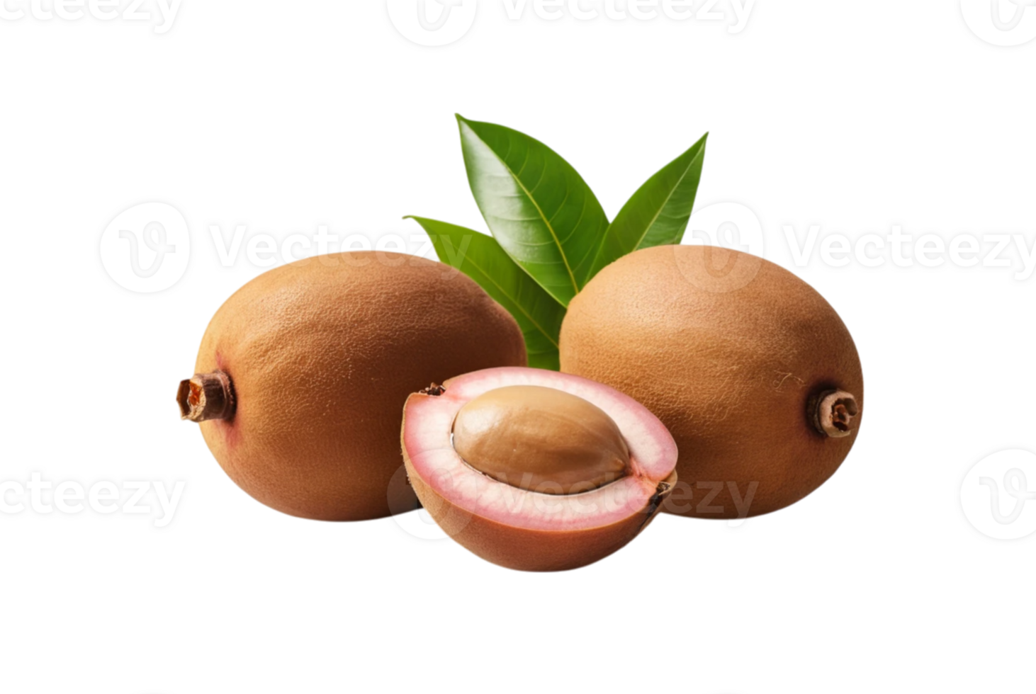 Sapodilla Transparent Image png