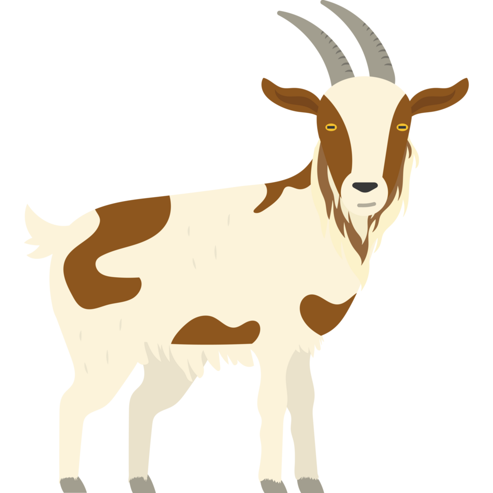 cute goat illustration isolated png