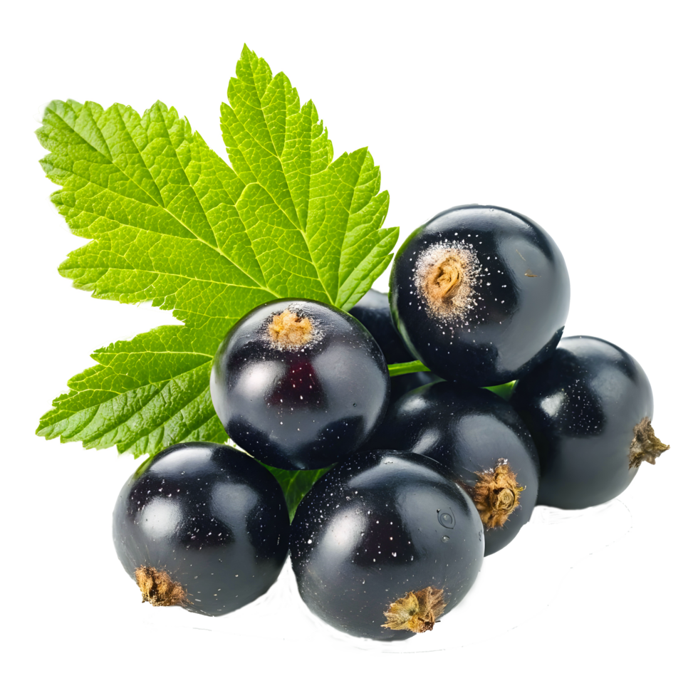 Photorealistic Blackcurrants with Green Leaf Macro Photography 8K Resolution png