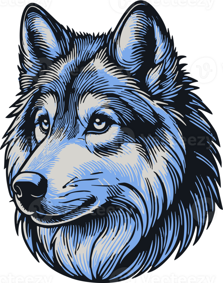 Blue Wolf Digital Illustration png