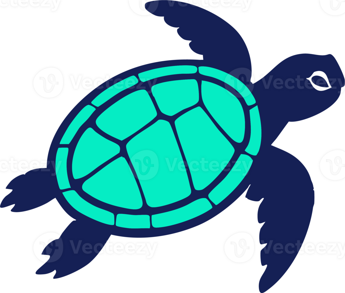 Blue Sea Turtle Digital Art png