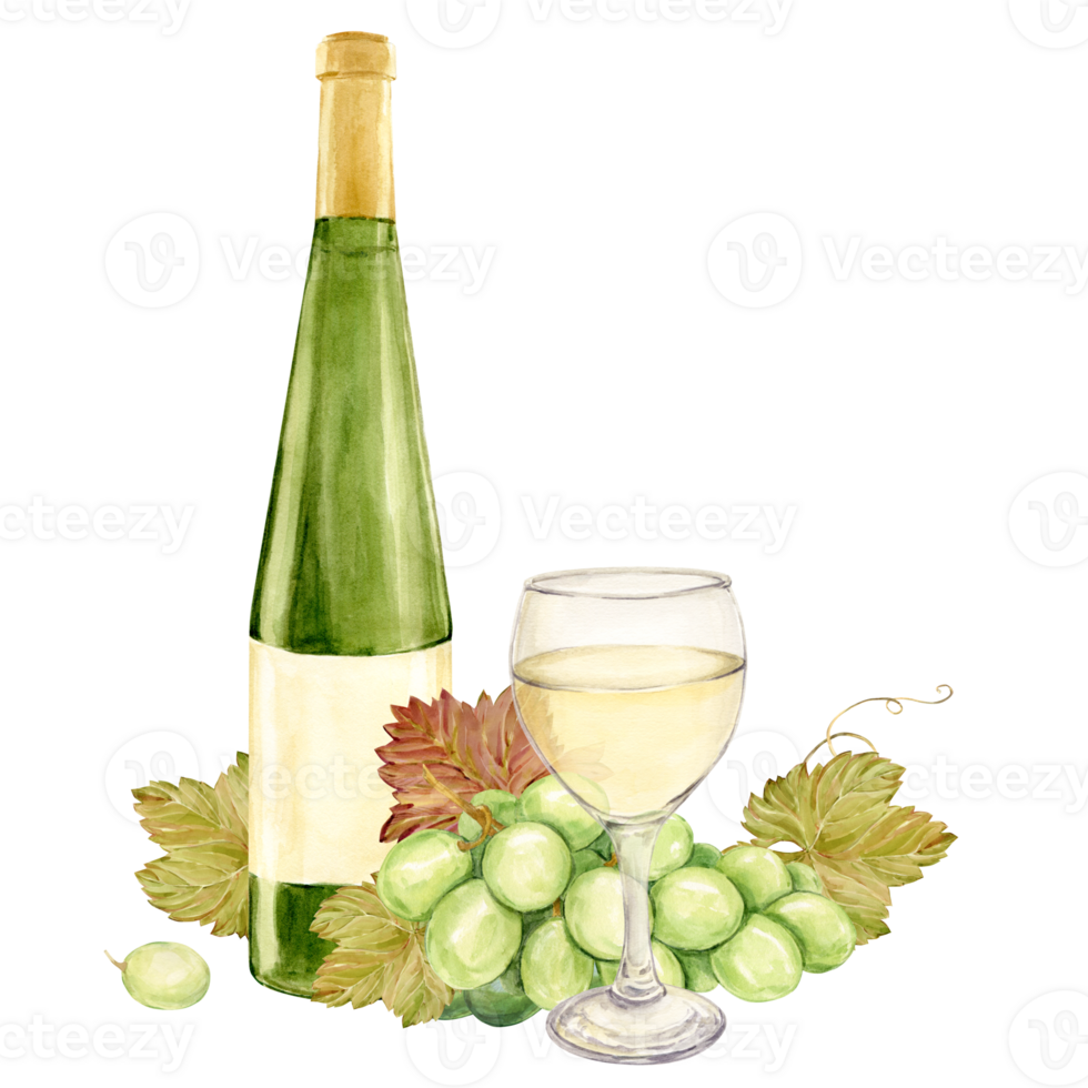 On the table lies a watercolor branch with white grapes, and next to it a glass of white wine and a bottle of green glass. Illustration of green berries. Clipart for tasting, menu, wine list. png