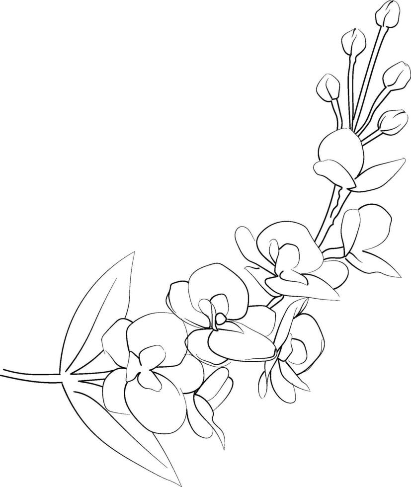 Orchid flowers coloring page, simplicity, Embellishment, monochrome, art, Outline print with blossoms Lavender, leaves, and buds Orchid flowers tattoos vector