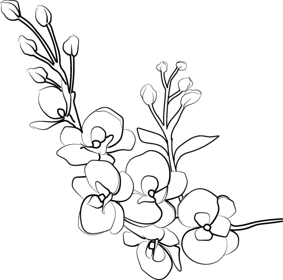 Orcid flowers line art drawing, easy Orcid flower drawing, free painting Orcid flowers outline , Orcid flower coloring pages,, hand drawing Orcid flower coloring pages vector