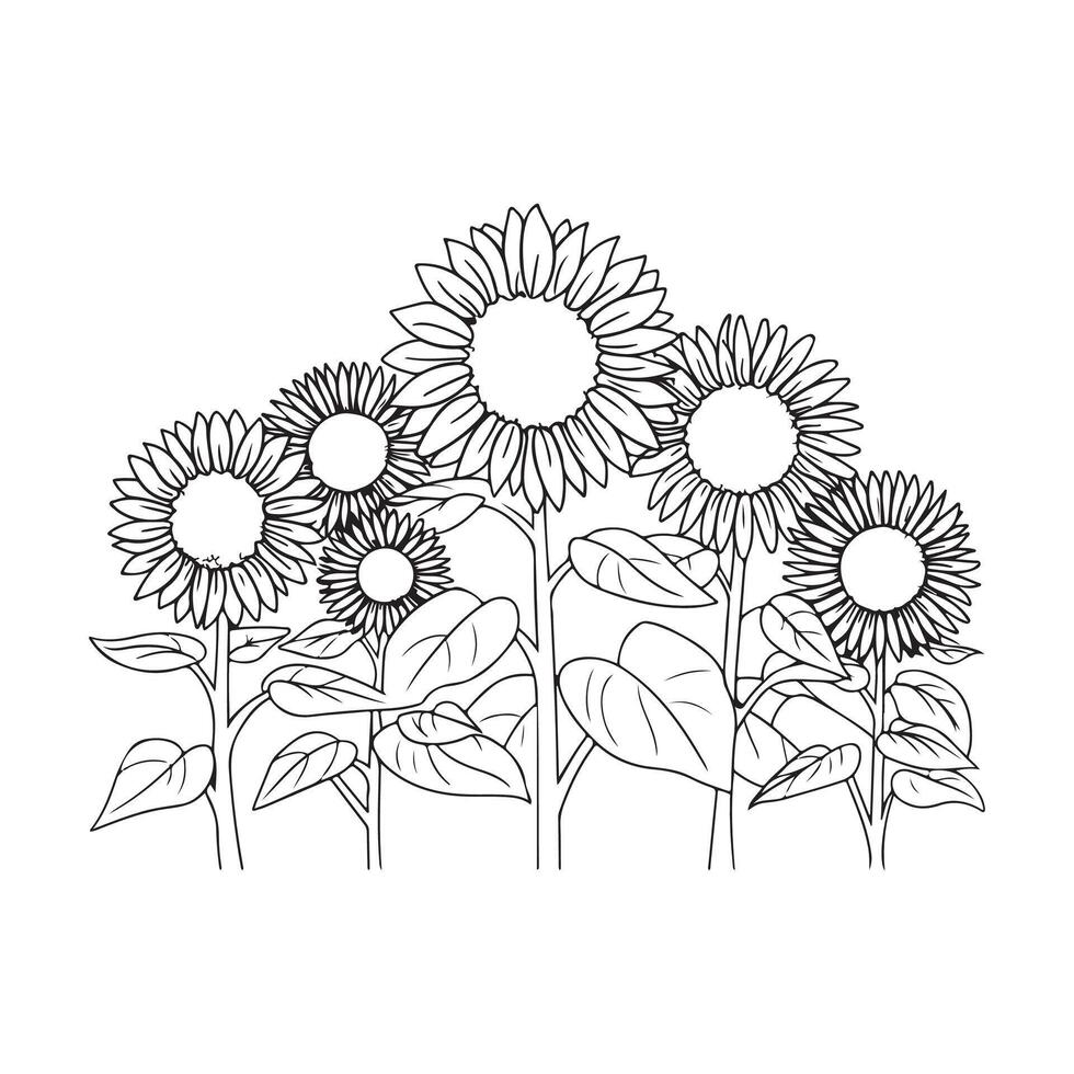 Sunflowers coloring page vector