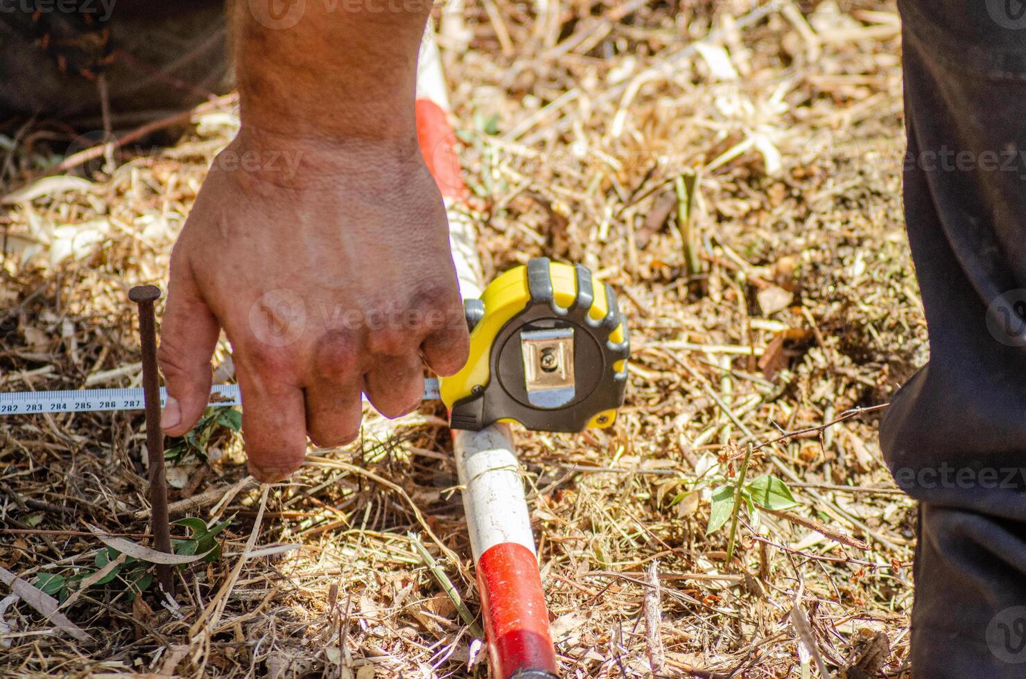 hand of an archaeologist measuring and marking the ground in an archaeological excavation. photo