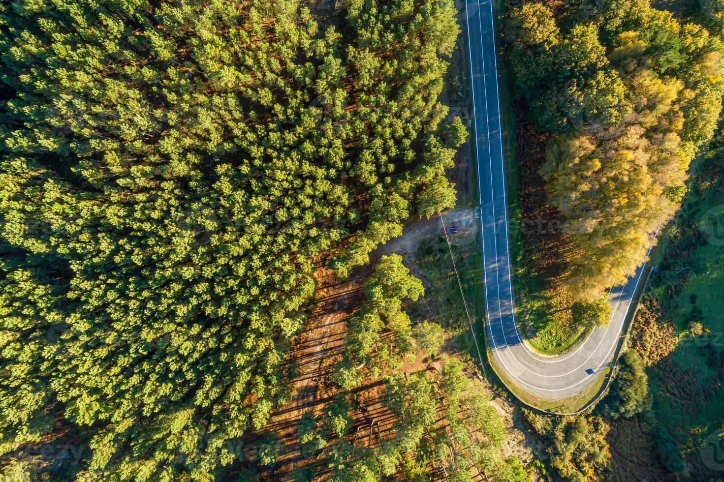 directly above aerial drone view of a mountain road curve in springtime photo