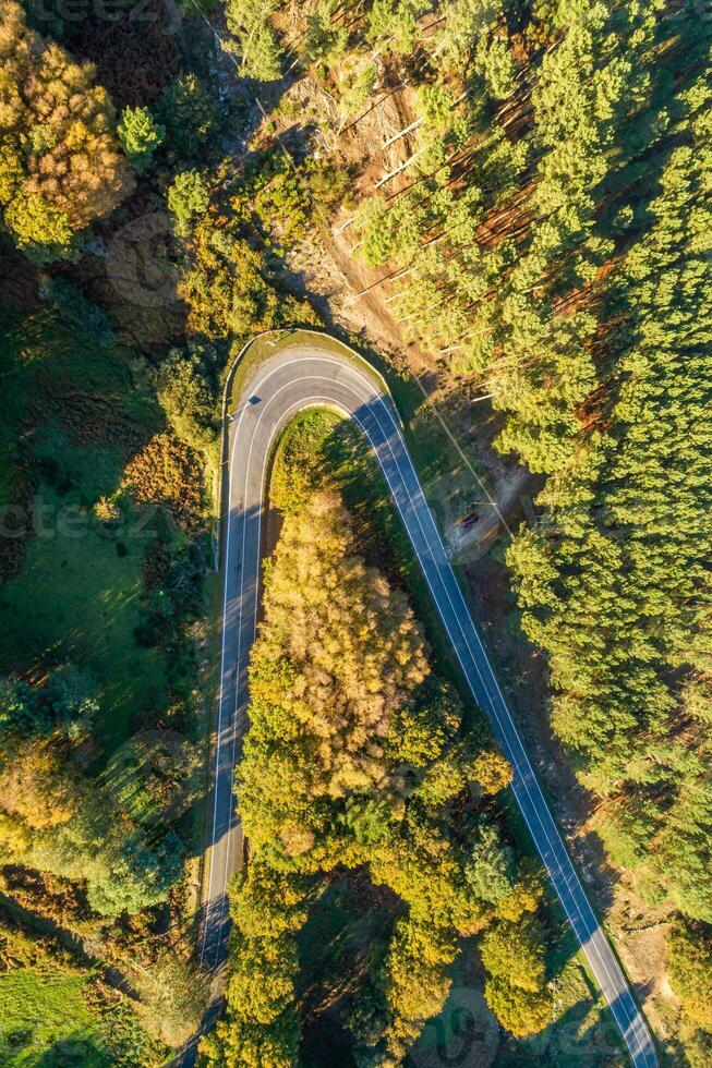 directly above aerial drone view of a mountain road curve in spring photo
