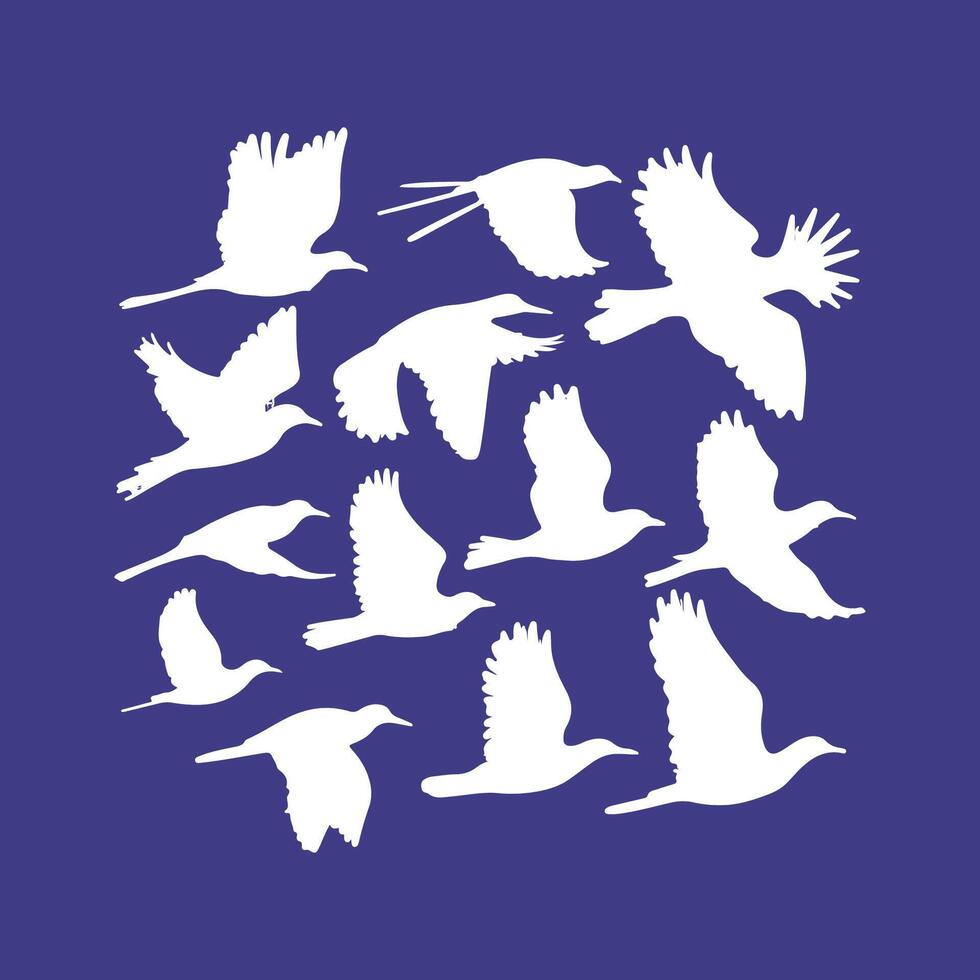 A collection of birds icon logotype from around the world vector