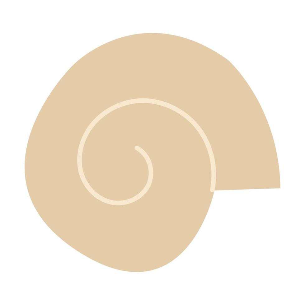 Spiral shell. Mollusk. illustration. vector