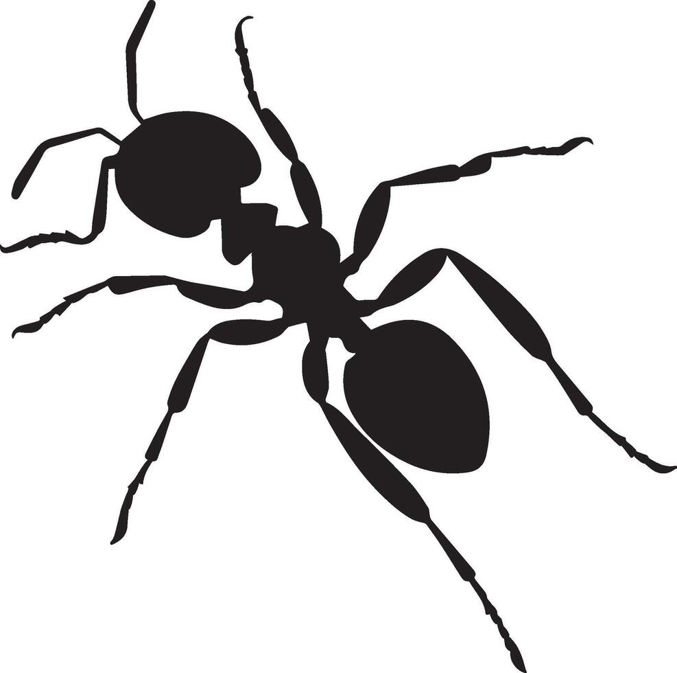 Ant flat sign black Icon Set vector