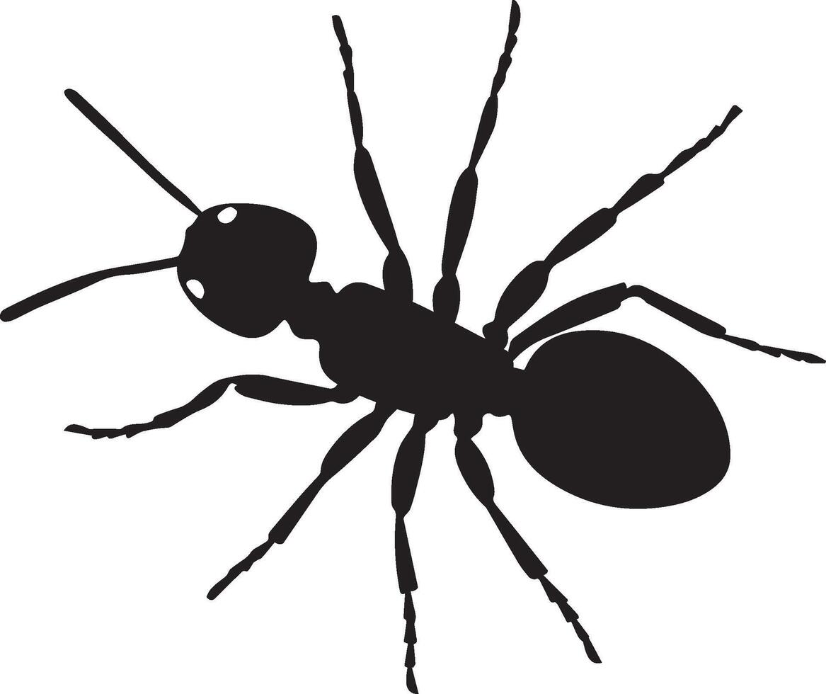 illustration of a black silhouette ant vector
