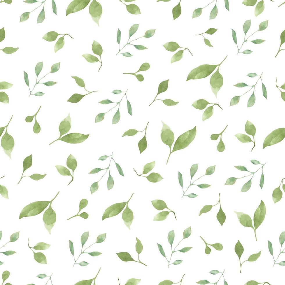 Seamless watercolor pattern with green leaves, berries. Hand drawn illustration isolated on white background. vector