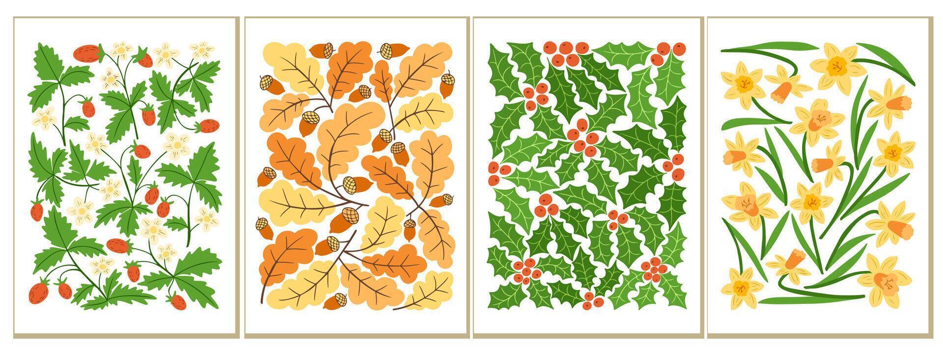 Set of four seasonal botanical illustrations with strawberries, oak leaves with acorns, holly with berries, and yellow daffodils. Vintage botanical collection on white background vector