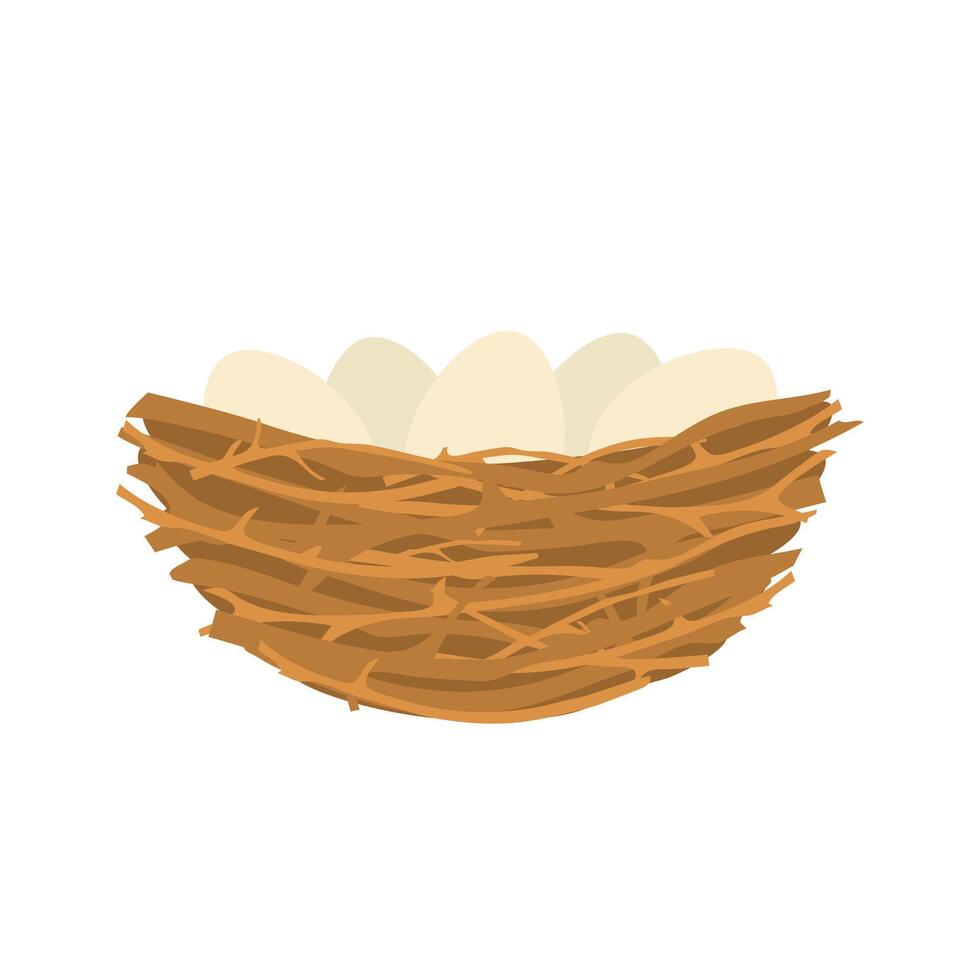 Birds nest with eggs. Nature branches collected together for laying and hatching chicks with nature design vector