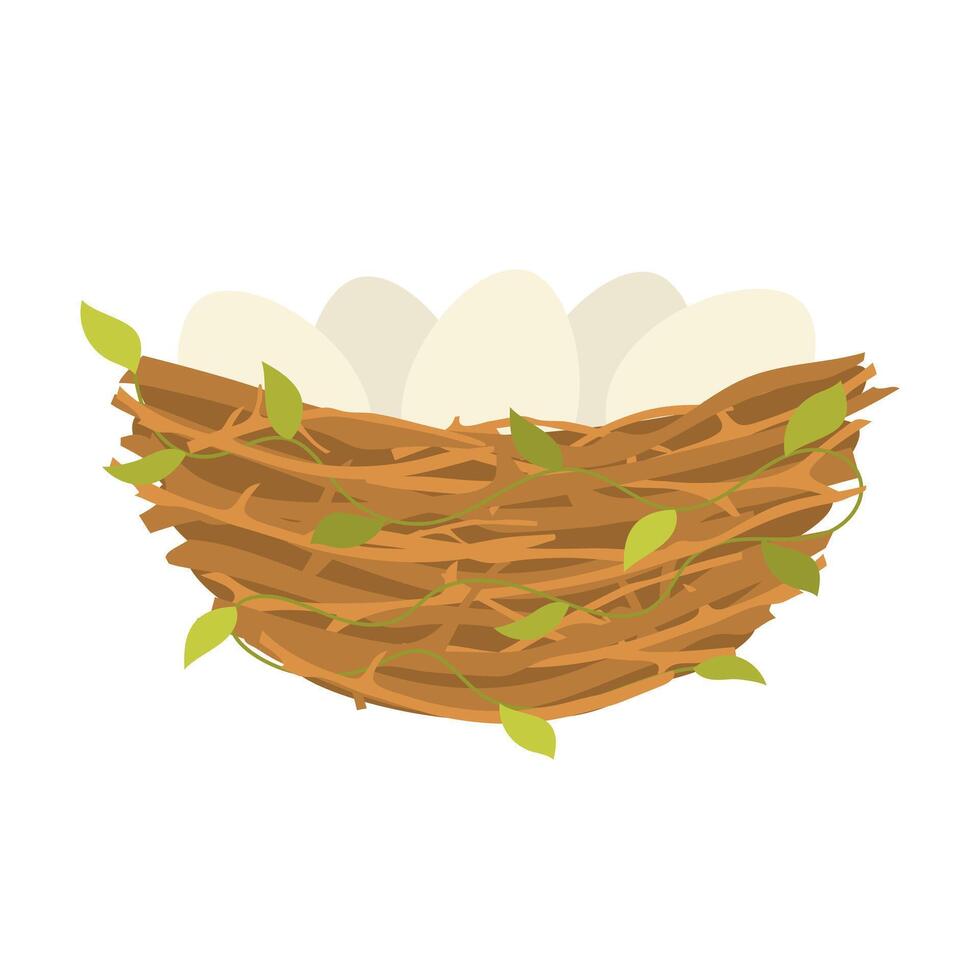 Bird nest with eggs. Branches and foliage collected together for laying and hatching chicks with nature design vector