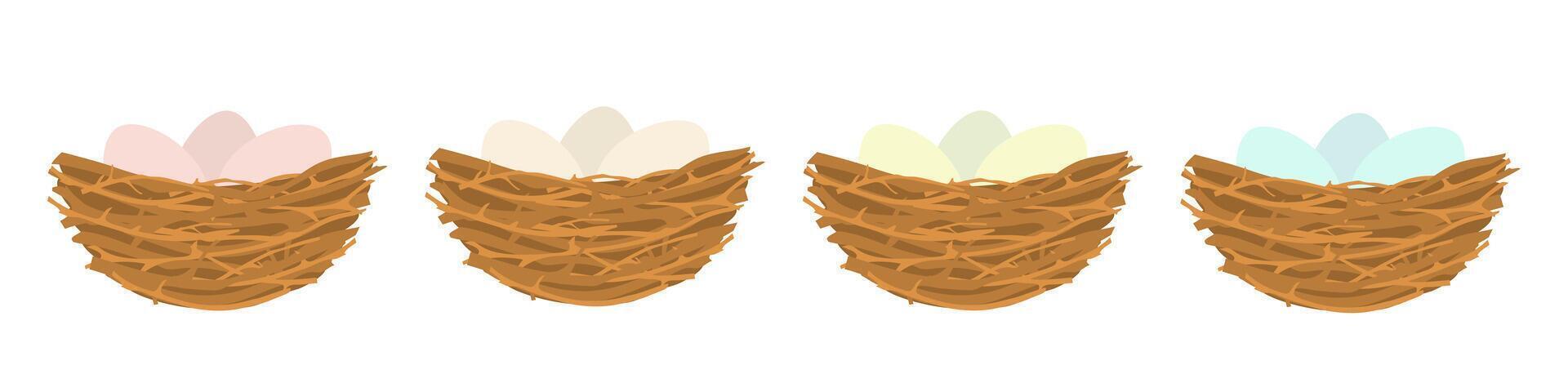 Birds nest with colorful eggs. Wild branches collected together for nesting and hatching chicks with nature design vector