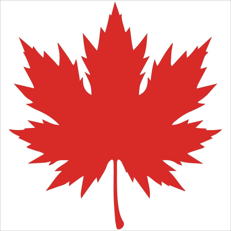 Modern Maple Leaves Symbol Design vector