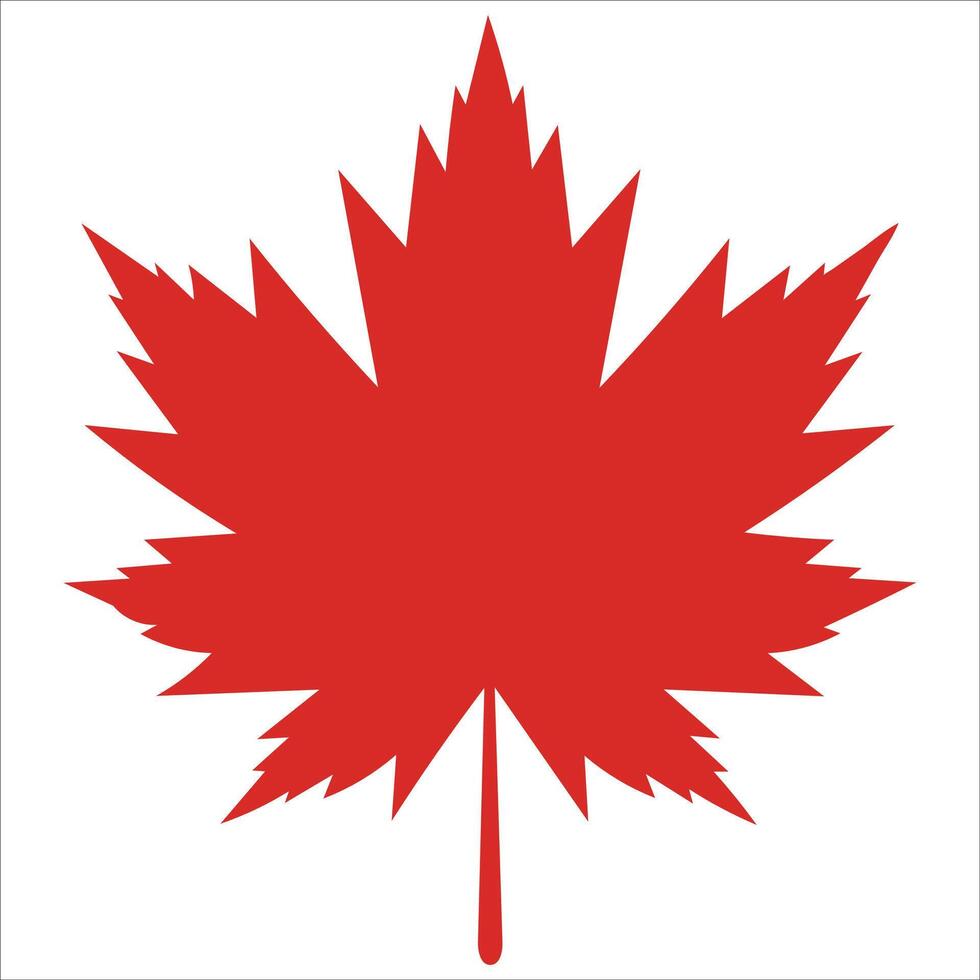 Maple Leaves Outline Icon Design vector