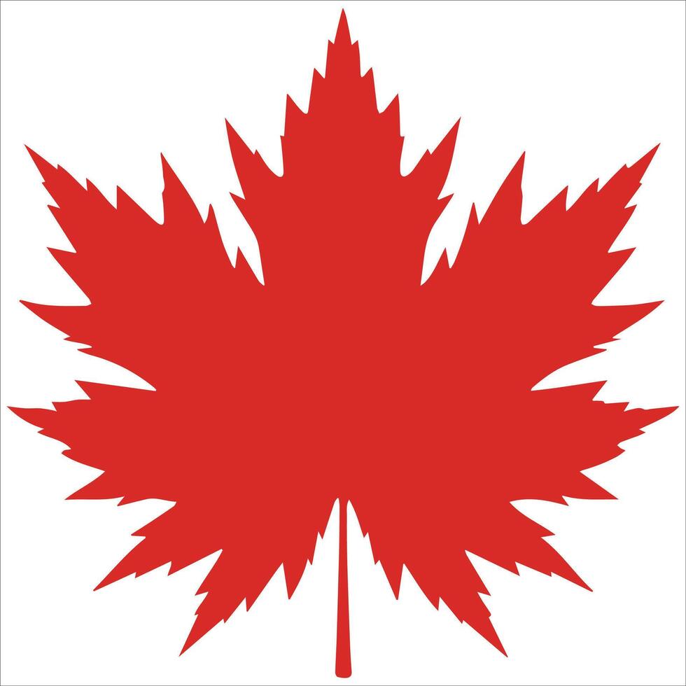 Minimalist Maple Leaves Icon Design vector