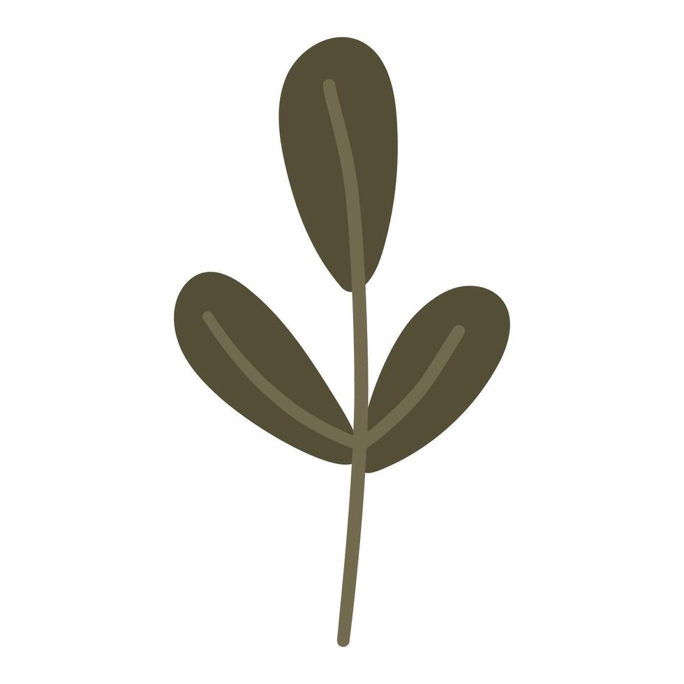 Abstract plant, white background, leaf illustration vector