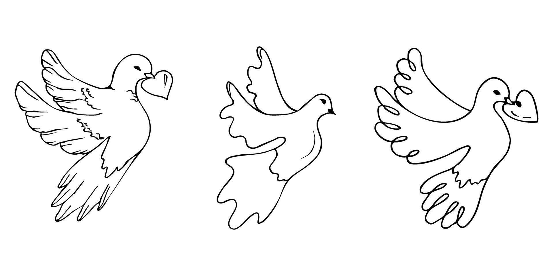 First communion celebration doves with heart symbols for invitations and cards. Set of Christian elements, catholic religion icons dove of peace. Hand drawn. Black and white illustration vector