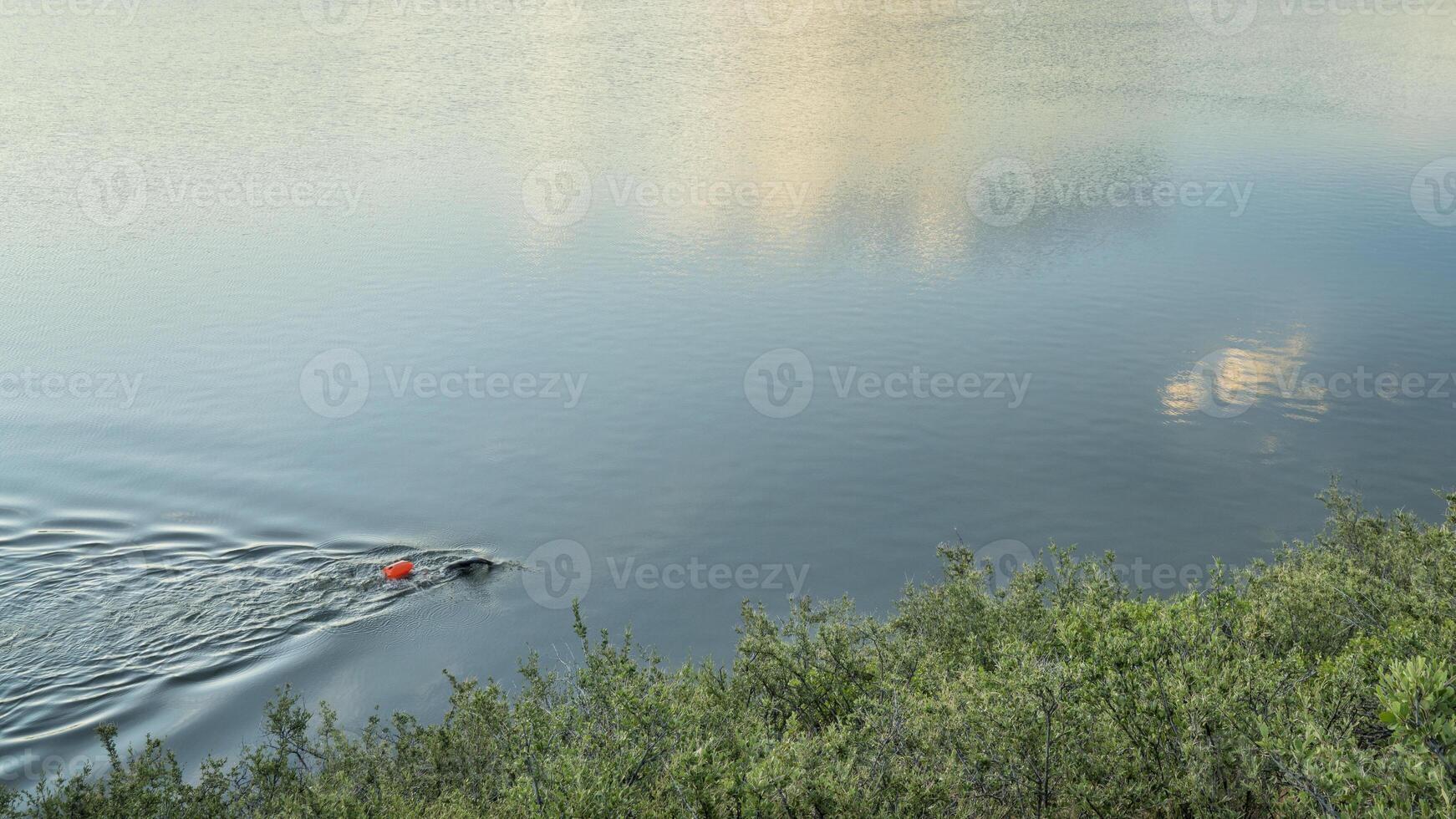open water swimmer with a swim buoy photo
