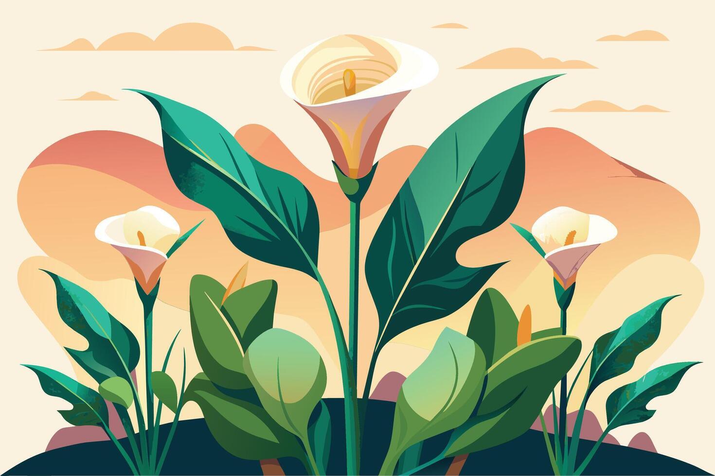 Regal calla lilies in a minimalist setting Illustration vector