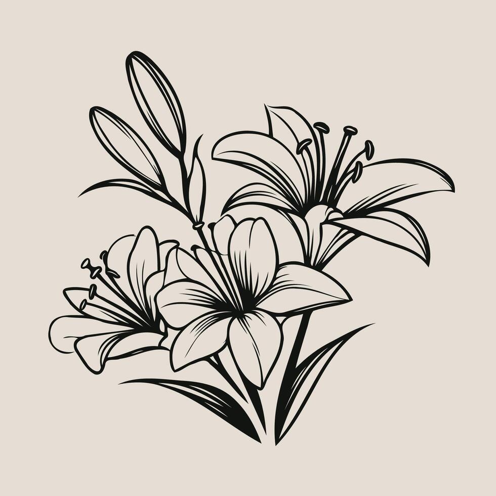 illustration of lily flowers, Monochrome black and white bouquet lily isolated on white background. Hand-drawn illsutration vector