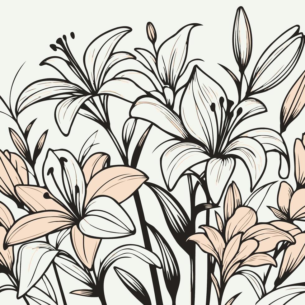 illustration of lily flowers. Lily flower arrangement line art on white background. Silhouette lilies botanical hand drawn element for wedding, invitation frame design illustration vector