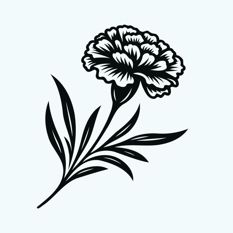 set of contour spring flowers carnation line art floral, leaves black and white illustration marigolds set of decorative elements of plants Cosmos vector
