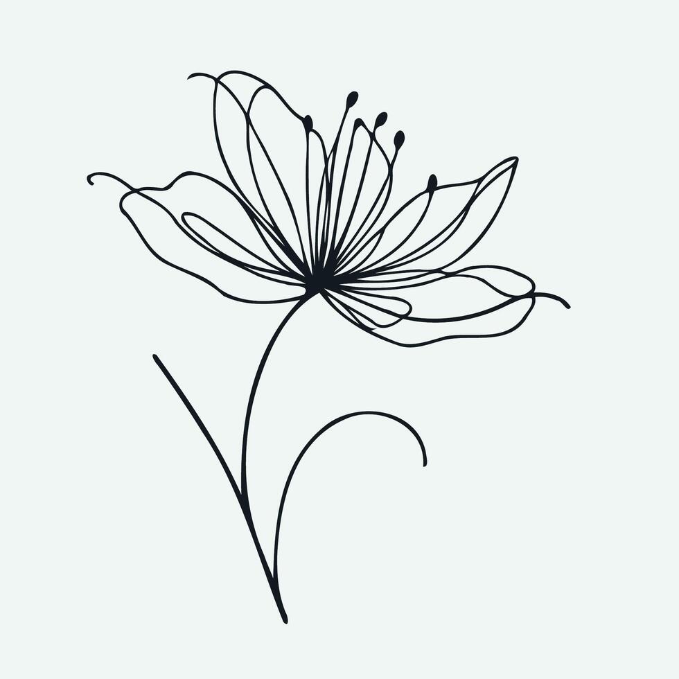 A black and white drawing of a flower, Line Flowers vector