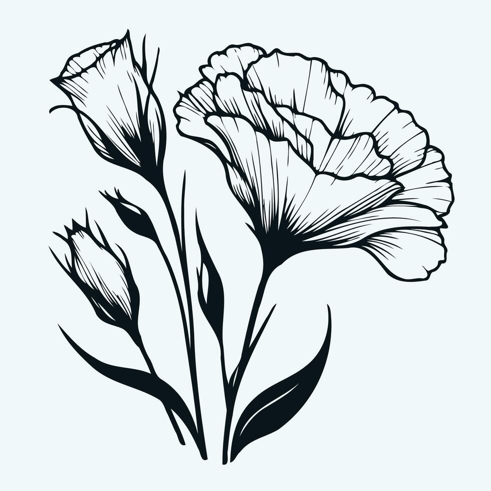 Black and white drawing of a flower, set of eustoma, lisianthus, tulip flowers in doodle style, illustration for coloring book, coloring pages vector