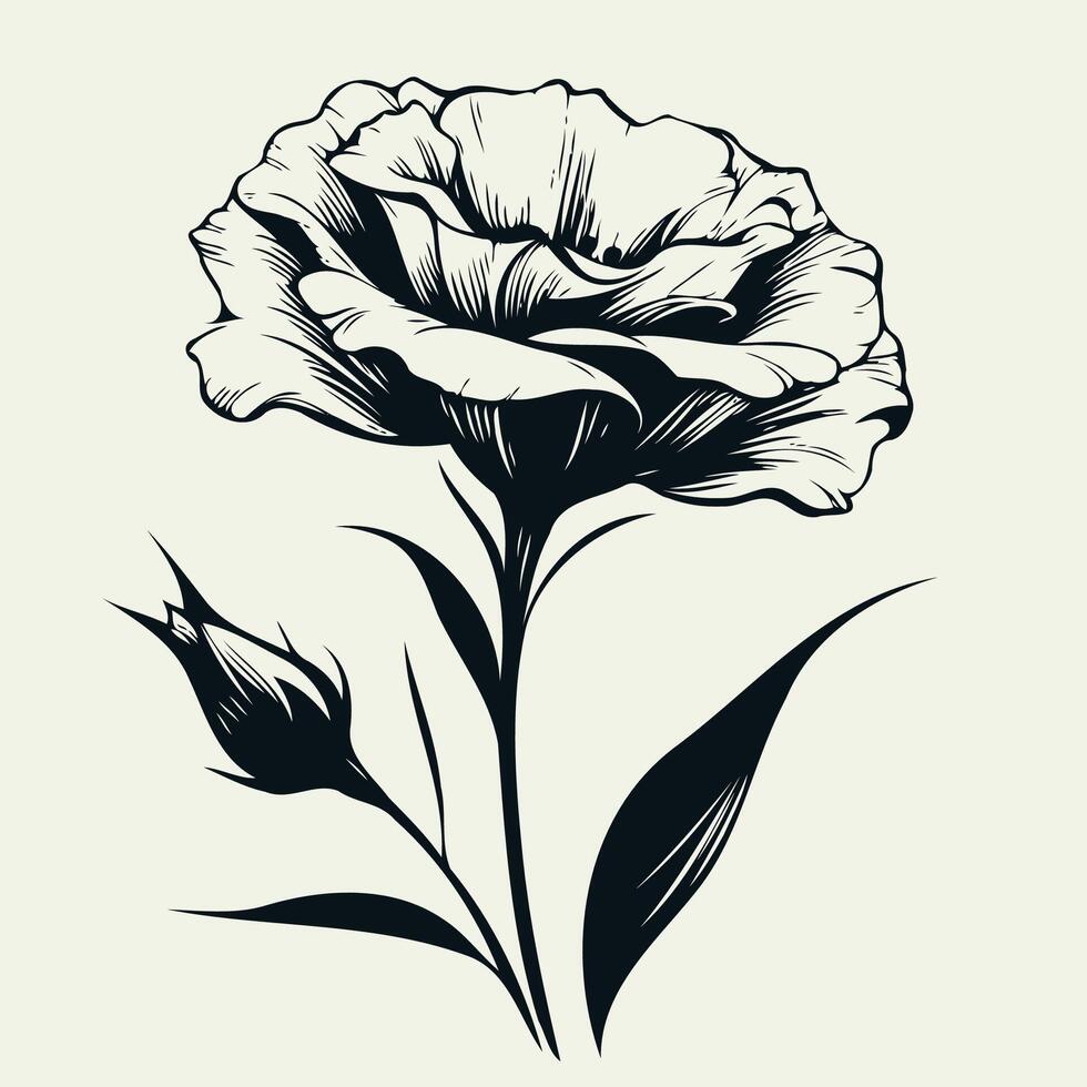 Beautiful elegant hand drawn. Set of contour flowers eustoma, line art floral lily, leaves, black and white illustration lisianthus, decorative detailed elements plants. vector