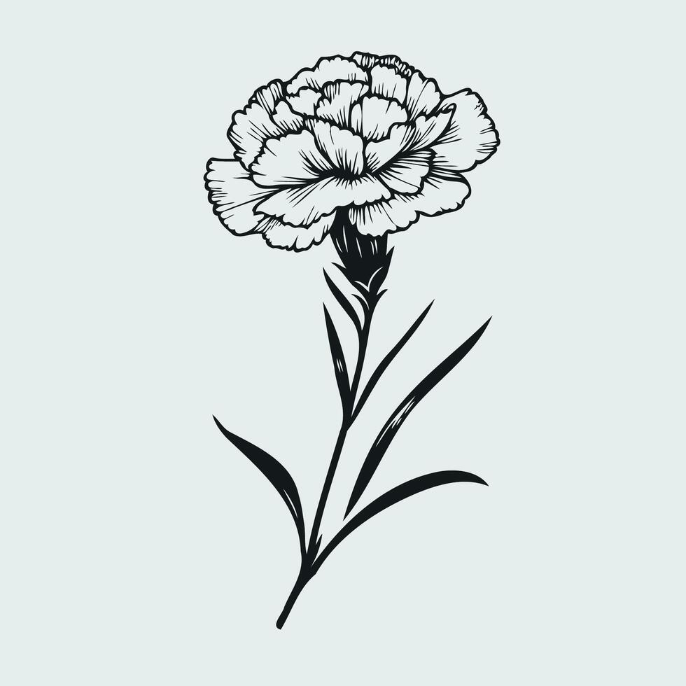 A black and white drawing of a carnation flower vector