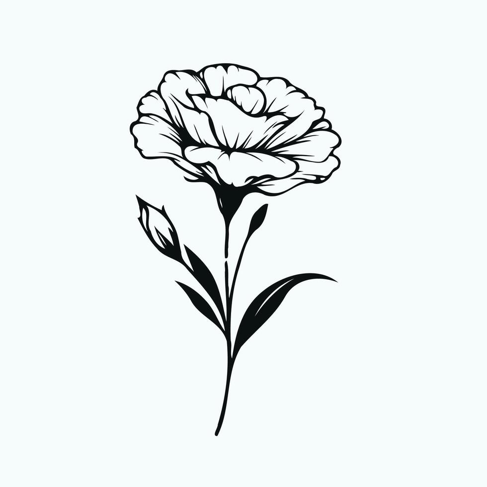 A black and white drawing of a flower, eustoma flower, lisianthus in doodle style illustration for coloring book, coloring pages for kids and adults vector