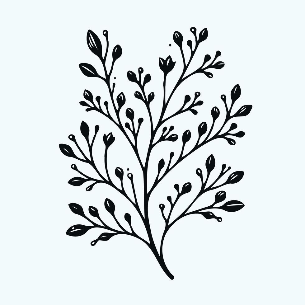 A black and white drawing of a branch with leaves vector