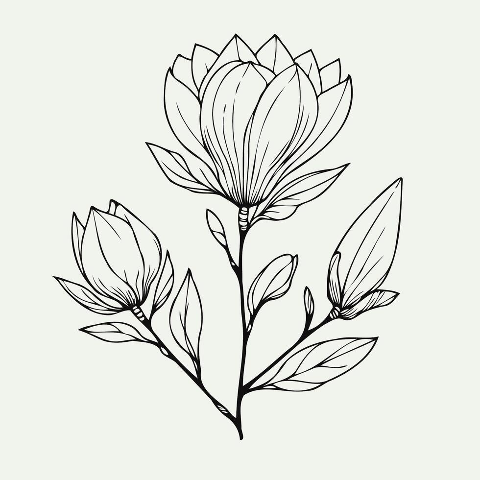 Magnolia branch in pastel color palette on beige background. Set of leaves black and white silhouettes of leaves seamless pattern with leaves, magnolia branch close up, leaf patterns vector
