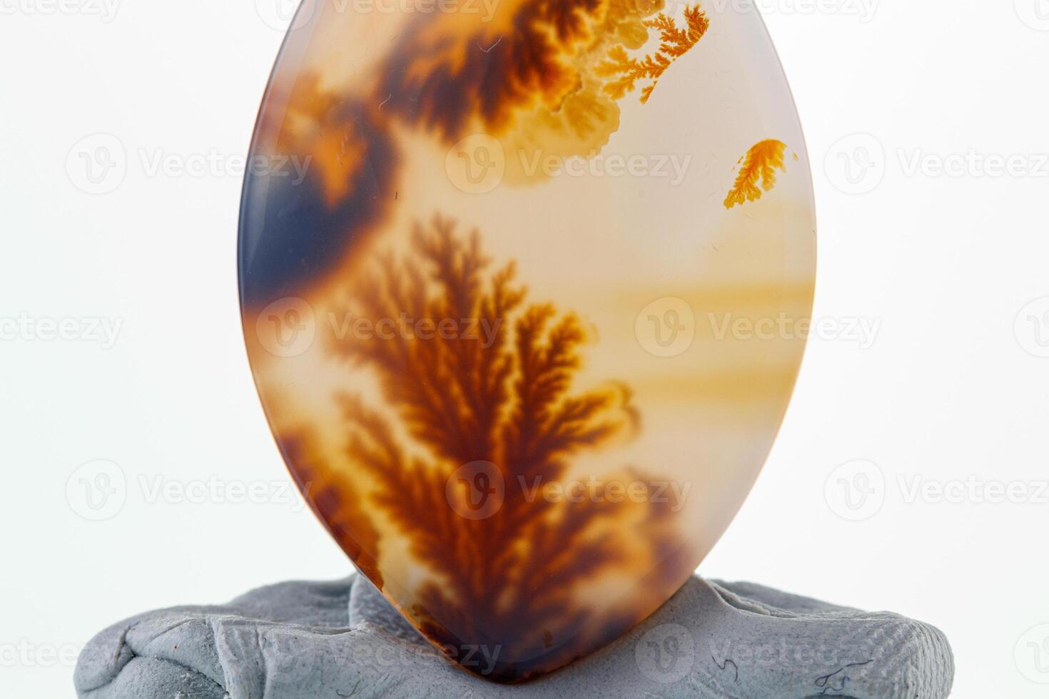 Macro mineral stone Moss Agate, Agate muschiataan white photo