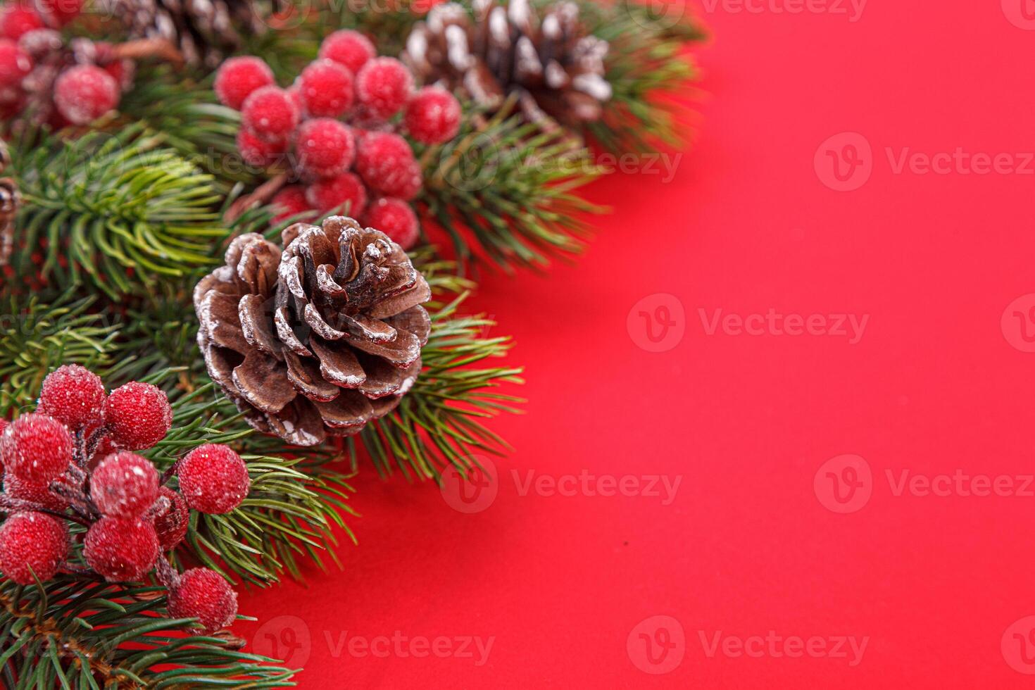 Christmas tree branches with cones on a red background photo