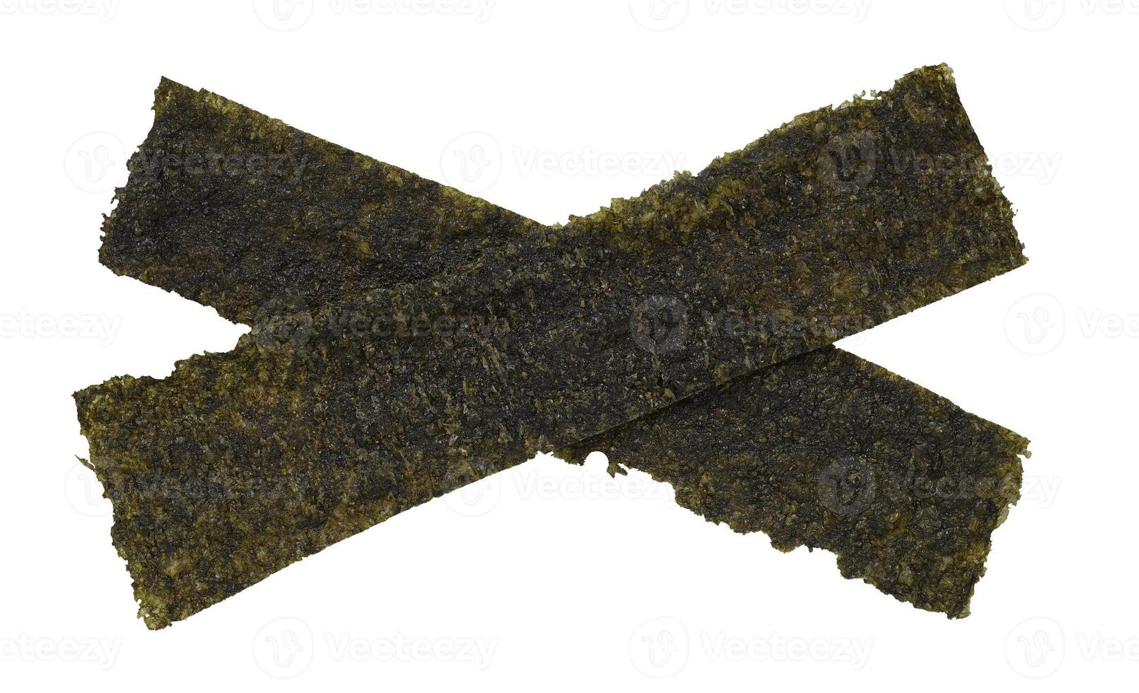 seaweed isolated element photo