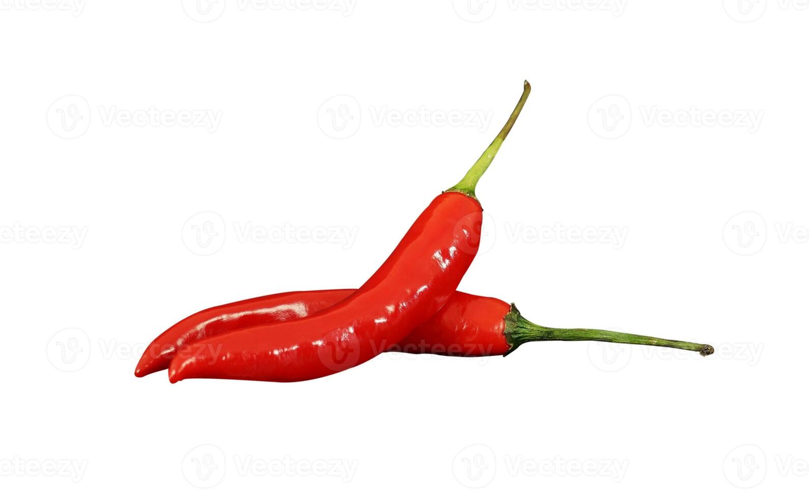 whole red hot chili isolated photo