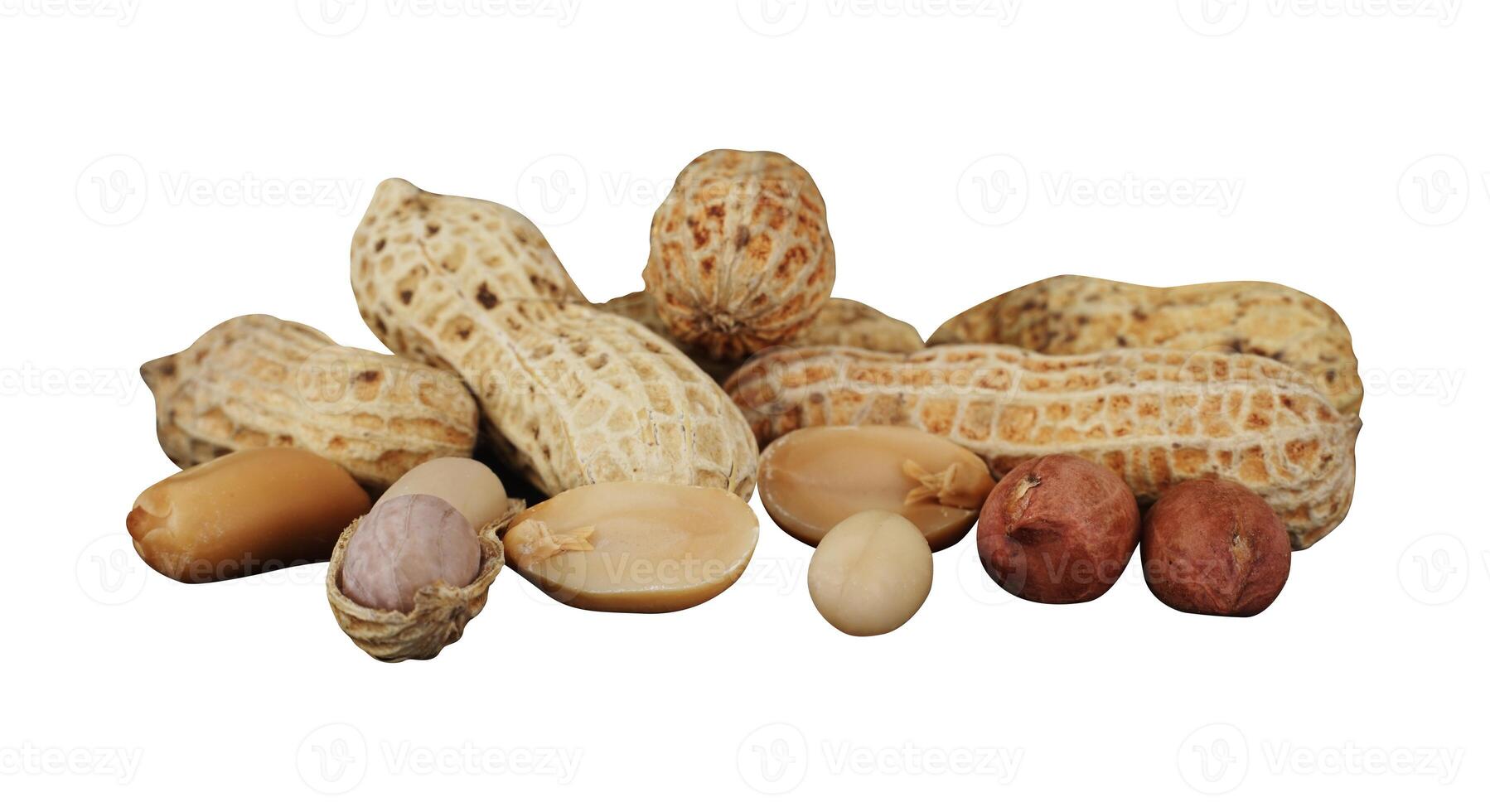 heap of peanut element photo
