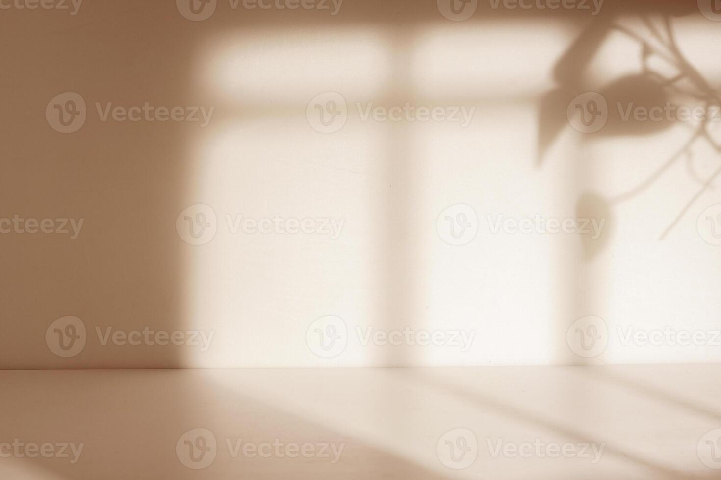 Minimalist room with natural shadow photo